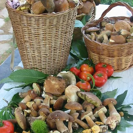 Saudon مزرعة للإقامة *