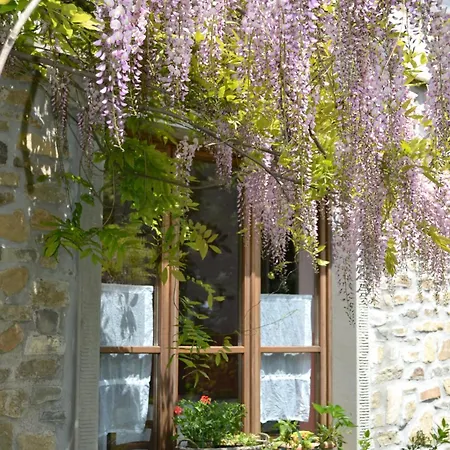 Agriturismo Saudon